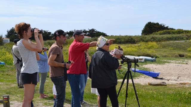 Bird watching on L'île d'Yeu © Ile d'Yeu Tourist Office