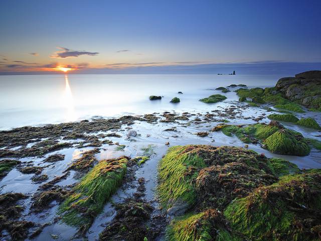 "Cap sur L'île d'Yeu" Package