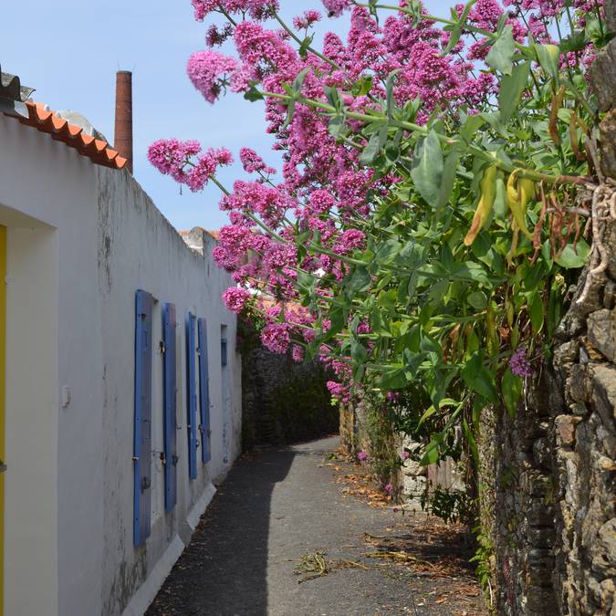 Alleys of Port-Joinville, Ile d'Yeu